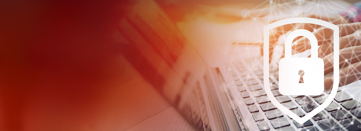 Privacy Protection: A New Frontier in Information Technology Privacy Protection: A New Frontier in Information Technology